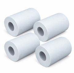 Set of 4 short Dolphin Wonder Sponge brushes: for Mosaic, Tile, Fibreglass pools | 9995560-ASSY